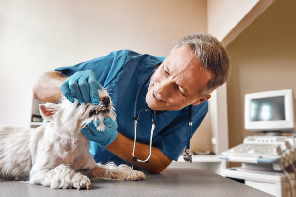 Best Emergency Tooth Extraction in Alvord, TX